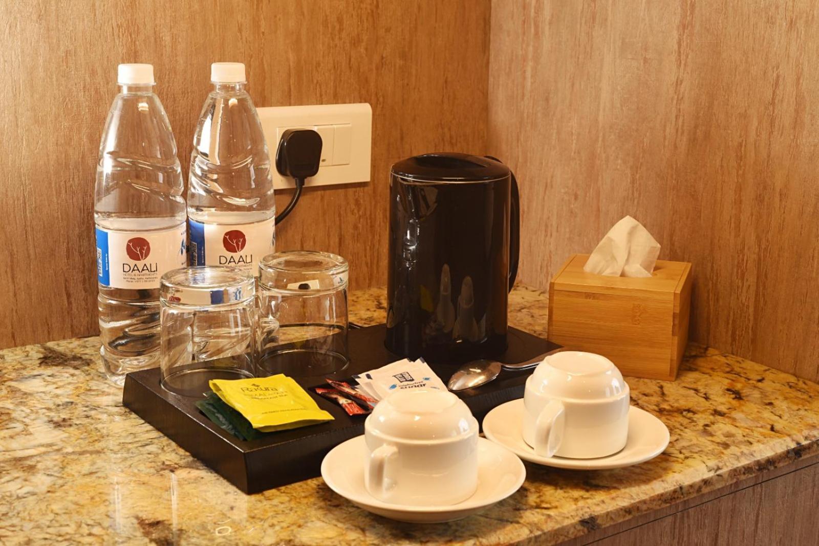 Daali Hotel & Apartment Kathmandu Buitenkant foto